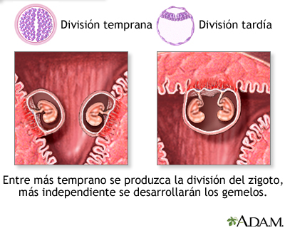 metodos para no quedar embarazada despues de hacer el amor
